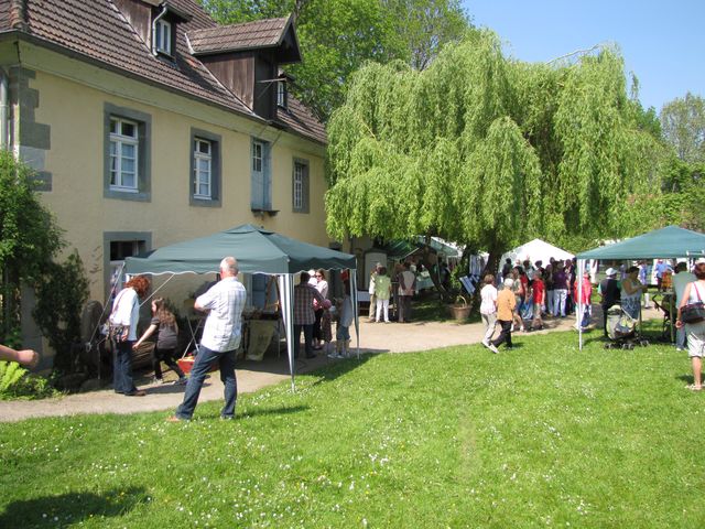 Mühlenfest  2010 030