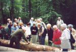 2003 Exkursion Kneblinghauser Wald mit Revierförster Stamm